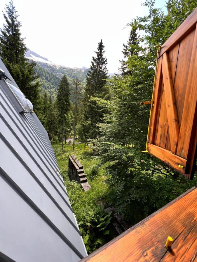 ~Chalet_Rifugio Tra I Boschi~ Sella Nevea Esterno foto