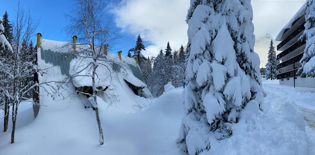 ~Chalet_Rifugio Tra I Boschi~ Sella Nevea Esterno foto