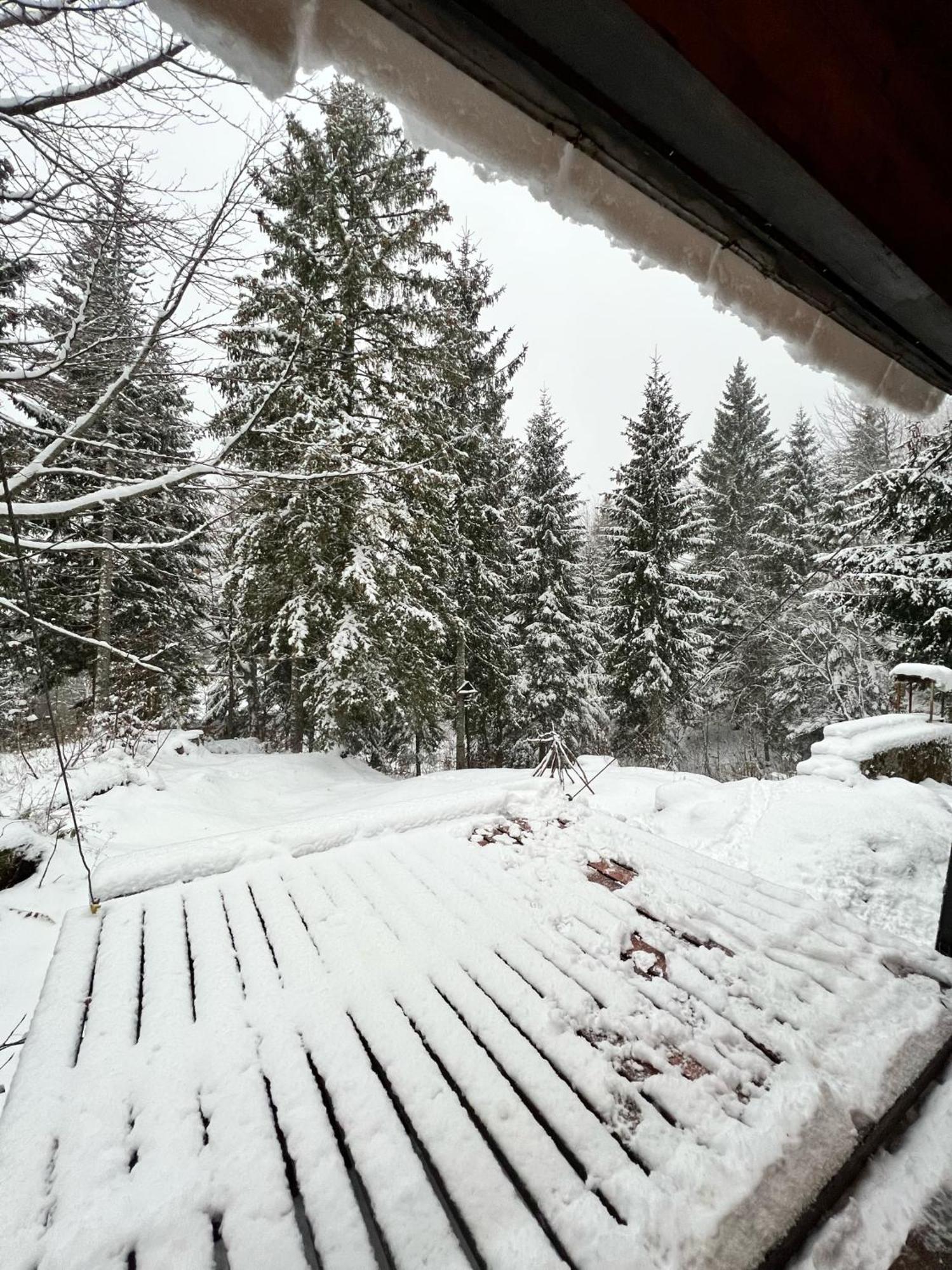 ~Chalet_Rifugio Tra I Boschi~ Sella Nevea Esterno foto