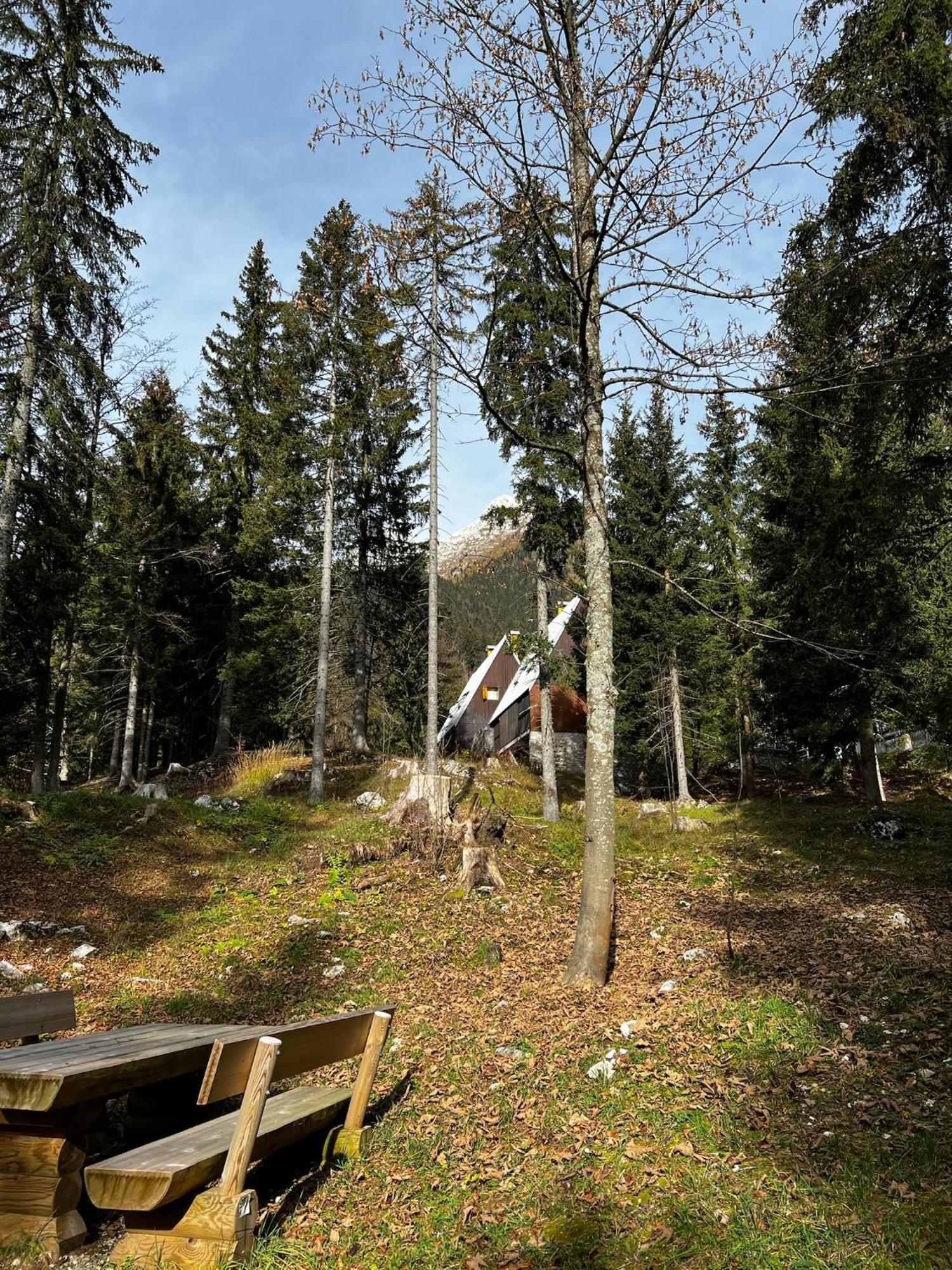 ~Chalet_Rifugio Tra I Boschi~ Sella Nevea Esterno foto
