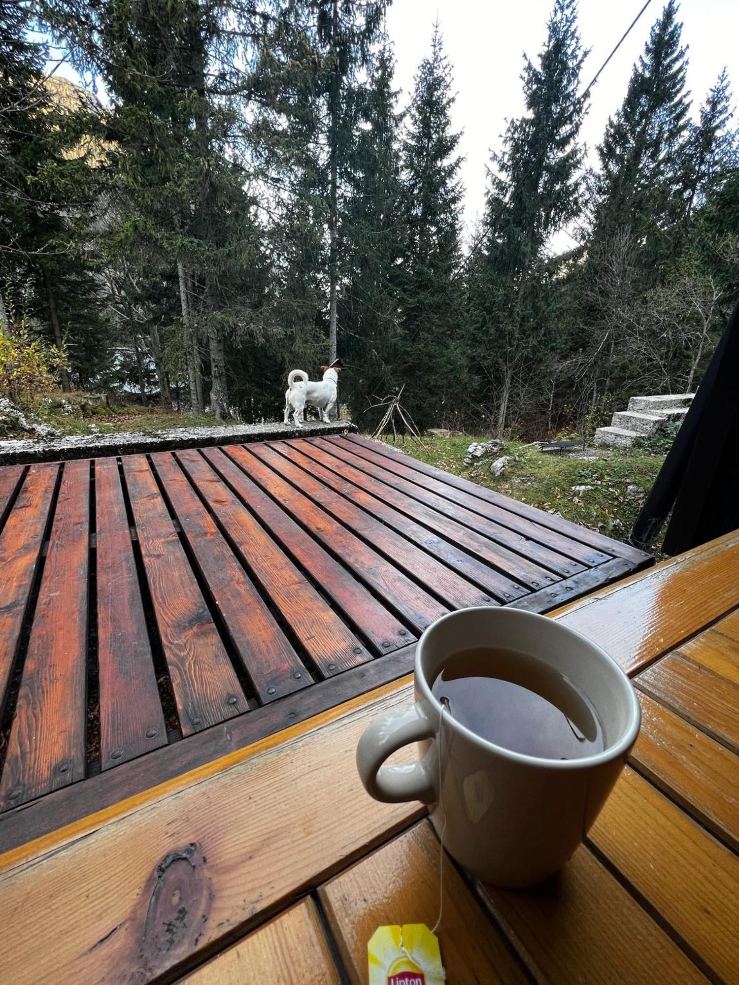 ~Chalet_Rifugio Tra I Boschi~ Sella Nevea Esterno foto